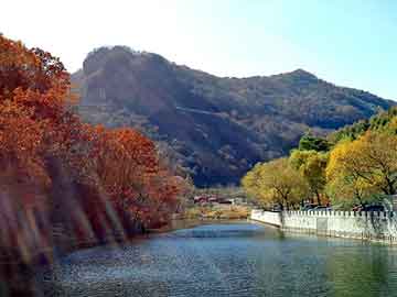 2004新澳门天天开好彩，飞鹤奶粉河南总代理